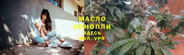 гашик Инсар