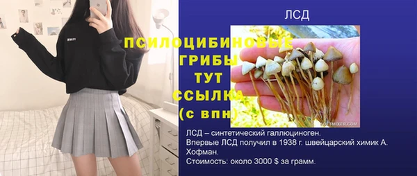 стафф Иннополис