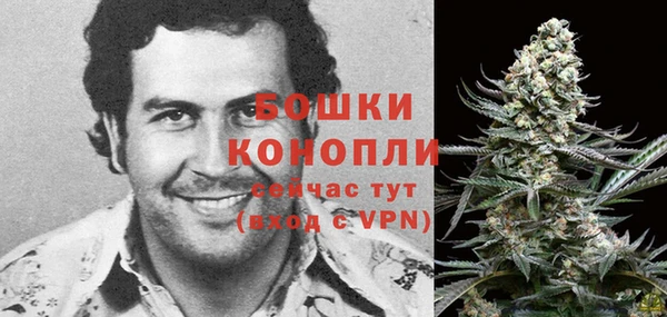 мескалин Инта