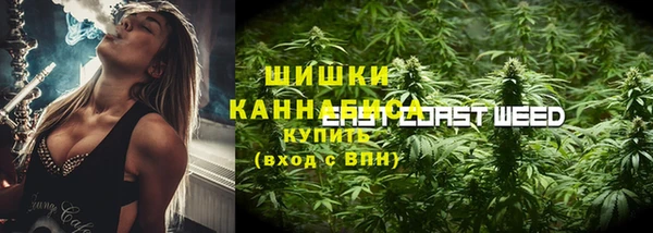 гашик Инсар