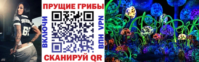 Галлюциногенные грибы Psilocybine cubensis  Купить закладки  Кологрив 